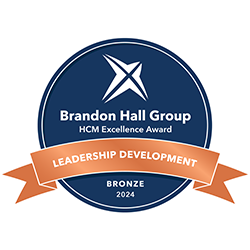 bronze brandon hall award