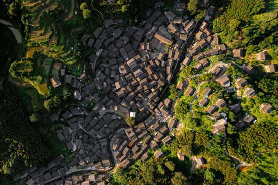Town by the rice fields