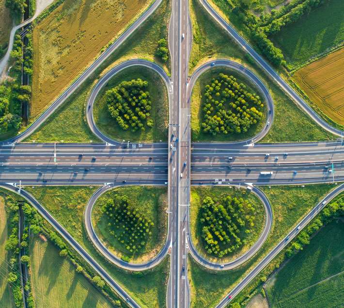 Trees and roads